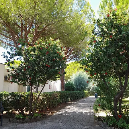 Ibiscus Village 4* Follonica